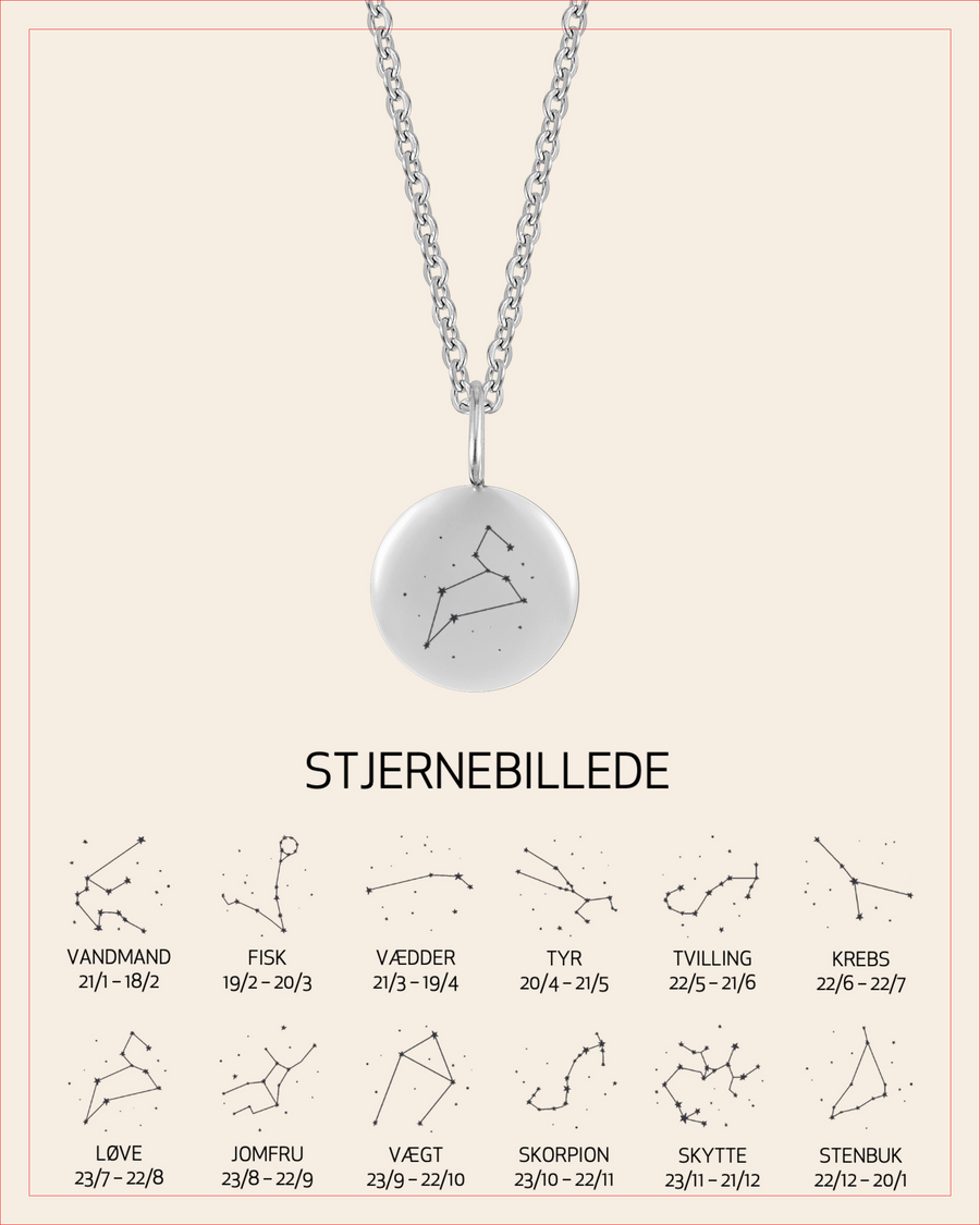 AYA STAR Halskette aus silberfarbenem Edelstahl mit graviertem Sternbild Löwe, mit Übersicht aller 12 Sternbilder