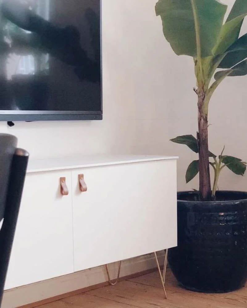 LOOP Ledergriffe in Cognac an weißem TV-Schrank mit Haarnadelbeinen neben großer grüner Pflanze
