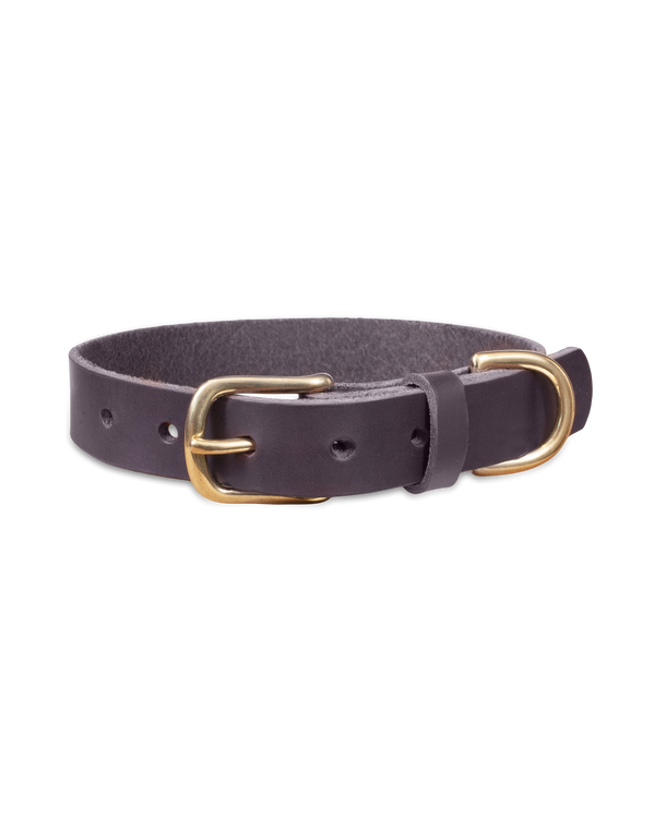PAW25 Hundehalsband von byRavn aus dunkelbraunem Kernleder mit Messingschnalle und D-Ring, 25 mm breit