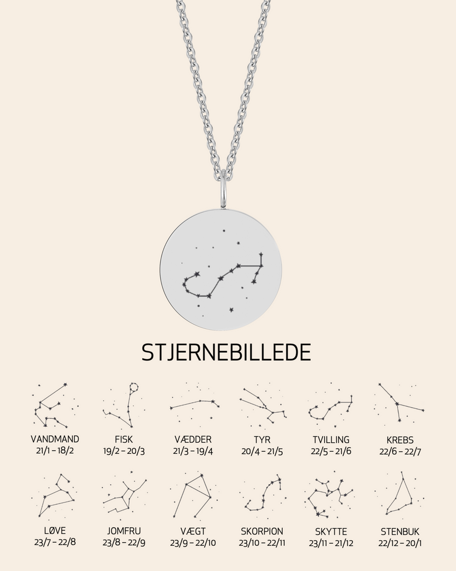 SIA STAR Halskette aus silberfarbenem Edelstahl mit graviertem Sternbild Skorpion, mit Übersicht aller 12 Sternbilder
